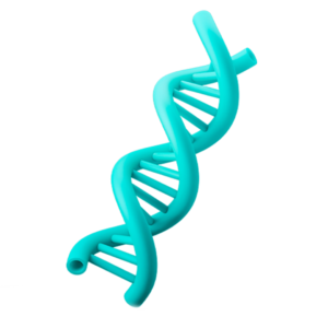 molécula de DNA